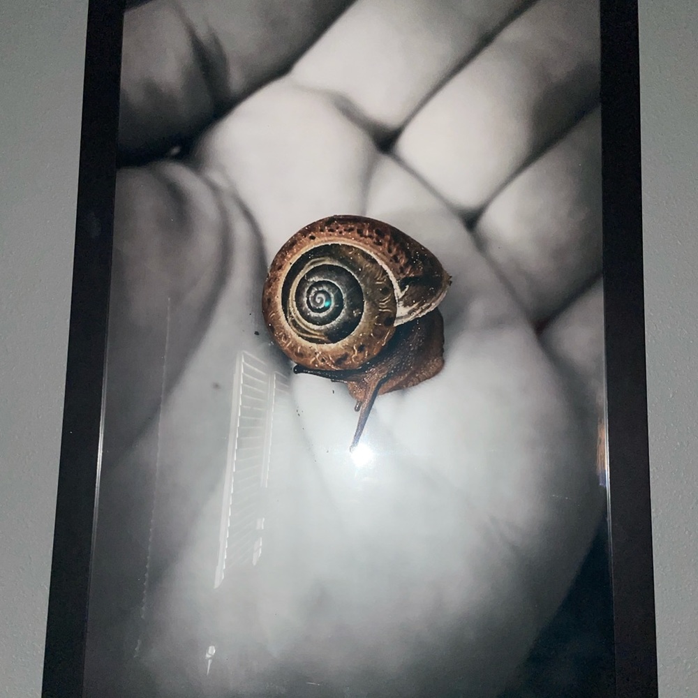 20x30 Original Snail Portrait